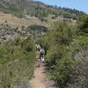 Hikers navigate the West Mesa Loop of Cuyamaca State Park.