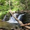 Enjoy a small waterfall on the Dunnfield Creek Trail.
