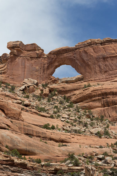 Nevills Arch stands high in the cliffs above.