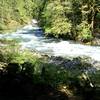 Take a forceful yet cooling and relaxing stroll along the North Fork Skokomish River.