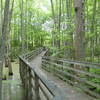 The Mineral Slough Boardwalk over the Ghost River.