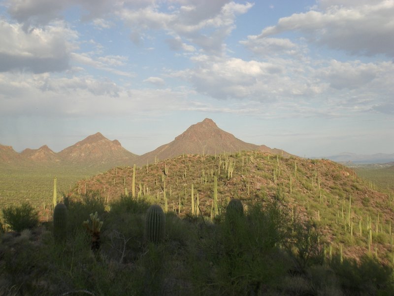 The Brown Mountain Trail offers up plenty of views of the Tucson Mountains and surroundings.