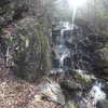 Cattail Creek Waterfalls is a pleasant treat along the trail.