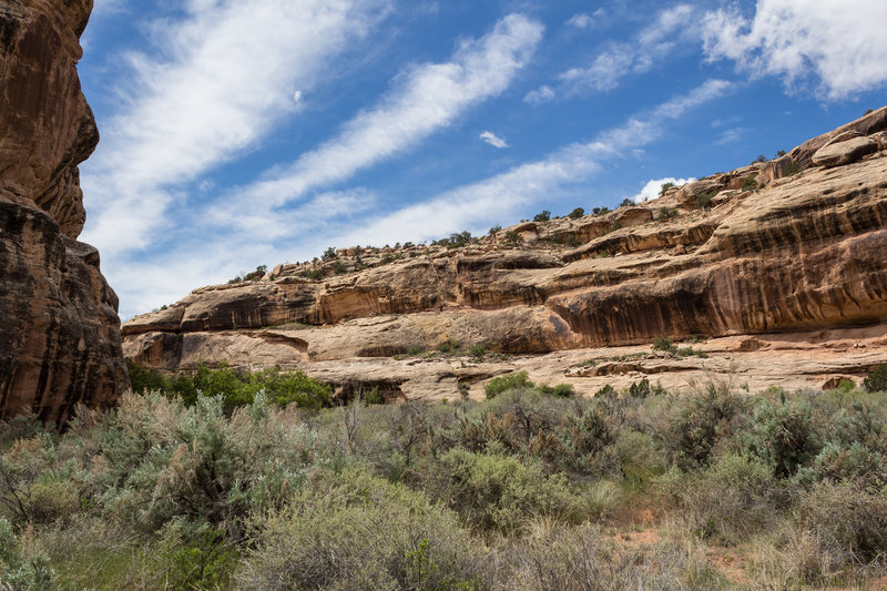 The canyon floor around the end of the Government Trail is thick shrubs, but the rock formations are beautiful.