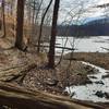 Gorgeous forest and river views await on the Gold Branch Trail.