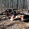 Not much is left of this rusting car along the Gold Branch Trail.