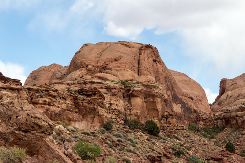 Navajo and Kayenta Sandstone is everywhere around the Butler Canyon Trail.