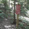 At this sign, turn right (SW) for the side trail to Cave Spring. It's well worth the 0.7 miles out.