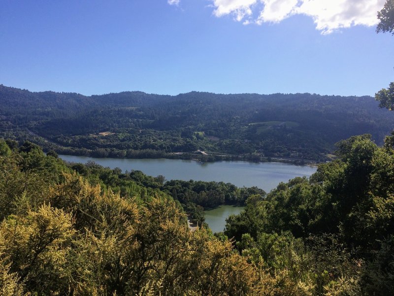 Looking down at the Lexington Reservoir from the Priest Rock Trail.