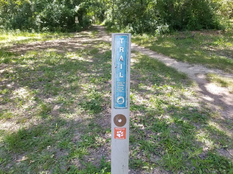 Trail marker for the Brown Trail.