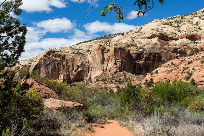 A sandy stretch of trail between impressive canyon walls on the Lower Calf Creek Falls Trail.