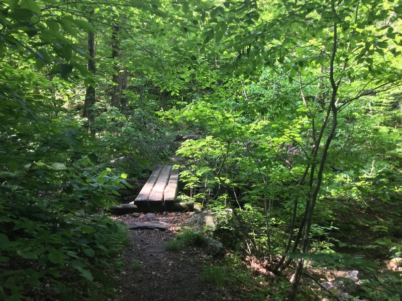 A wooden bridge spans a small creek along the west segment of the Phoenicia East Branch Trail.