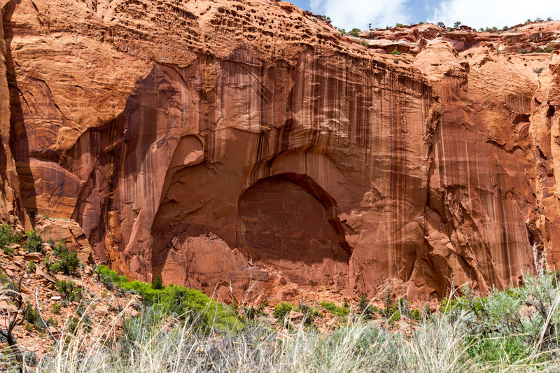 A forming arch in the canyon wall of The Gulch.
