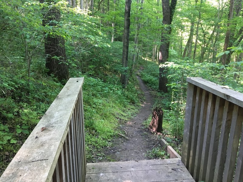 Harrods Creek Park Hiking Trail, Prospect, Kentucky
