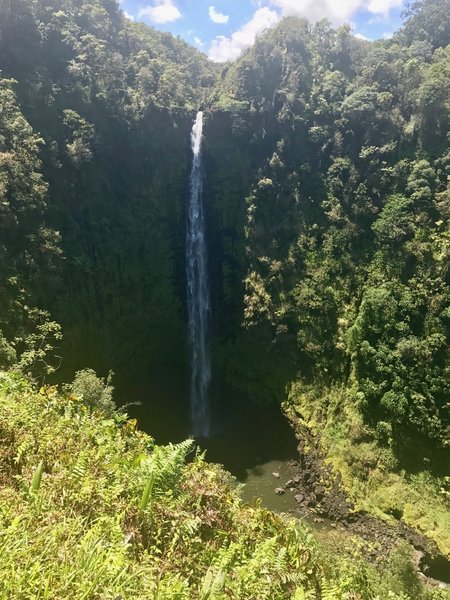 Akaka falls from the main viewpoint.