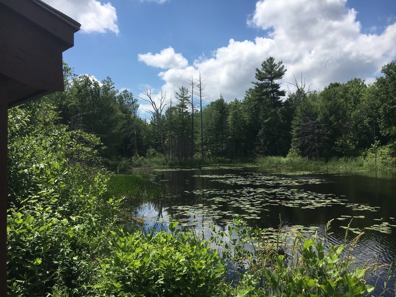 Beaver Pond is still beautiful from outside the wildlife blind.