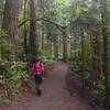 The Twin Falls Trail is wide and easy to travel.