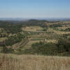 Volcan Valley Apple Farm and the Menghini Winery can be seen from the Five Oaks Trail.