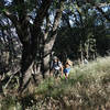 Two hikers make their way along the Five Oaks Trail.