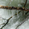 Icicles remain along Big Pine Creek well into summer.