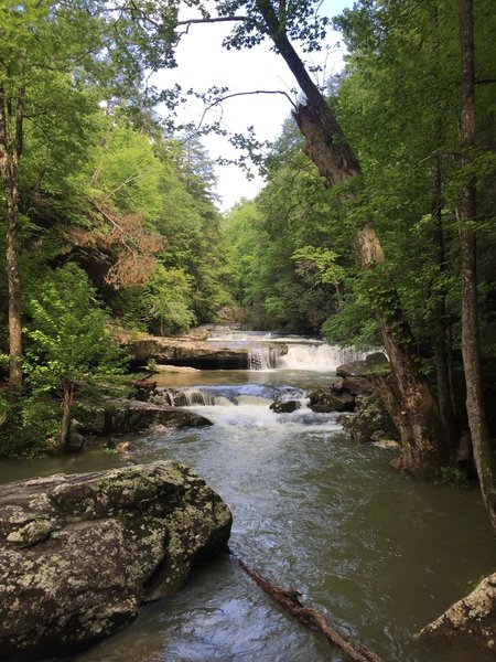 Sheltowee Trace NRT: Section 27 Hiking Trail, Corbin, Kentucky