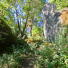 Some of the boulders on the White Rabbit Trail, like the one on the right, are over 30 feet tall!