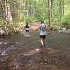 A river crossing on South Fork Moormans River Road (particularly high water!)