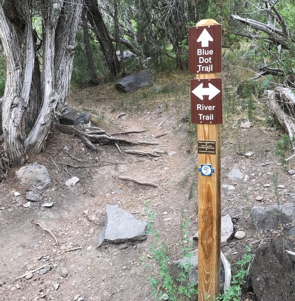 This sign marks the bottom of the Blue Dot Trail, which is different than what's shown for the trail on the map.