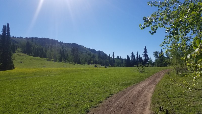 This is a view of the trail and a meadow just north of Red Butte.