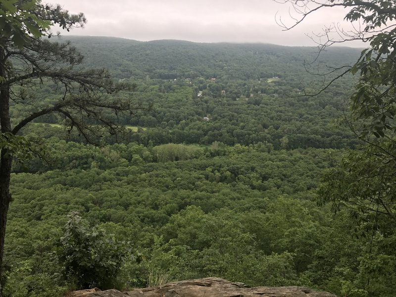 Take in the scenery from this forested viewpoint along the AT.