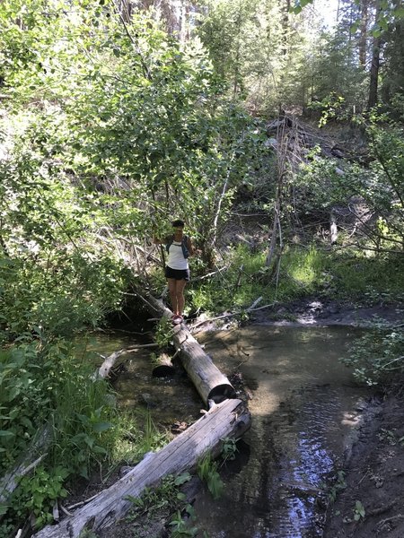 This is just one of the many creek crossings along Dry Creek.