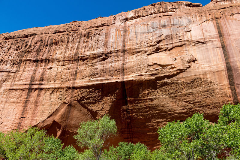 It's easy to feel small next to the giant canyon walls in The Gulch.