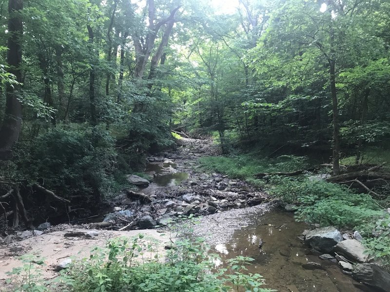 The small creek that runs along the trail.