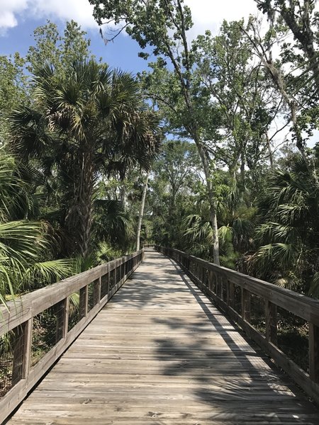 Graham Swamp Trail Hiking Trail, Palm Coast, Florida