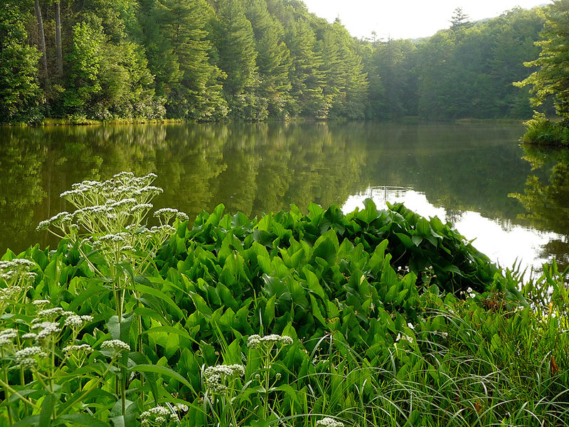 Views of Hale Lake near the beginning of the trail. The nice grassy
