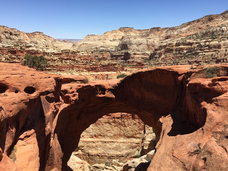 You've got to walk out over Cassidy Arch and see the view.