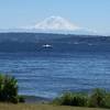 Looking south from the kid's playground, enjoy incredible views of Rainier on a summer day.
