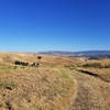 Laughlin Ranch and Livermore are quite beautiful from the West Side Loop Trail