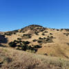 Brushy Peak is right nearby the West Side Loop Trail.