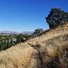 Magnificent views of East Dublin can be had from Dougherty Hills Open Space.