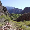 The North Kaibab Trail and Bright Angel Creek are verdant in the spring near Phantom Ranch.