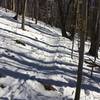 The great trail running fun does not end with winter. Bring the snowshoes or microspikes.