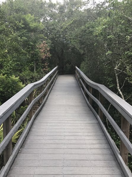 A sturdy wooden boardwalk aids your passage along the Fort Matanzas Nature Trail.