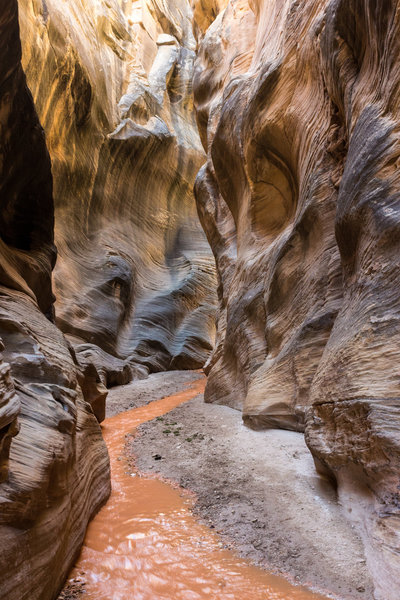 This is Willis Creek at one of its narrowest points.