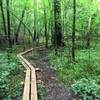 This swampy lowland crossing is made easier with a wooden boardwalk.
