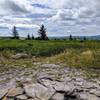 Utilize this great campsite off the Rocky Ridge Trail in the Dolly Sods Wilderness.