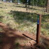 Keep an eye out for this trail junction of the Two-Spot Trail and Gold Digger Trail.