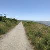 The Ocean Loop Trail offers purely phenomenal views.
