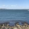 Soak up the great views of the Sakonnet River from Flint Point.