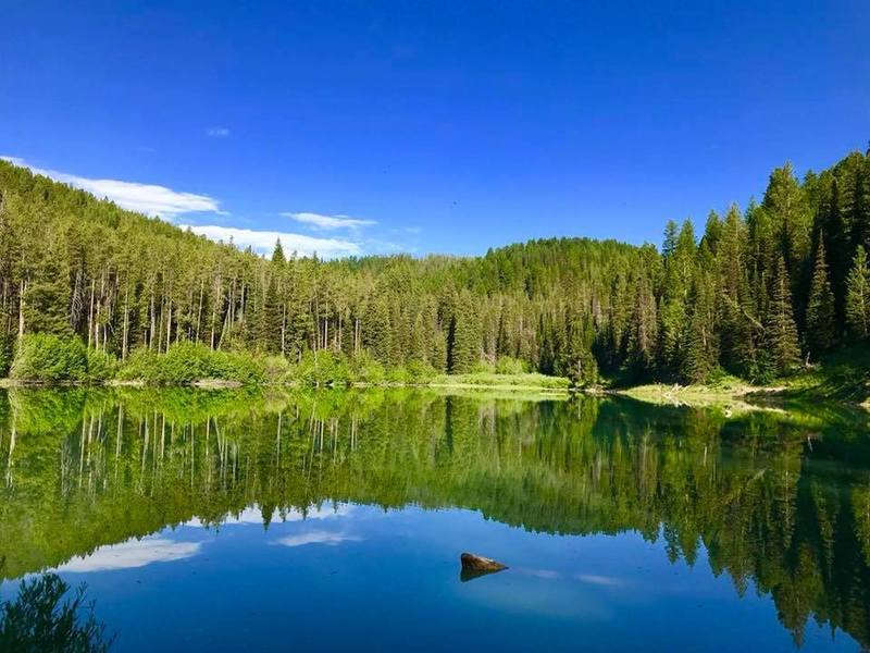 Packsaddle Lake Trail #212 Hiking Trail, Driggs, Idaho